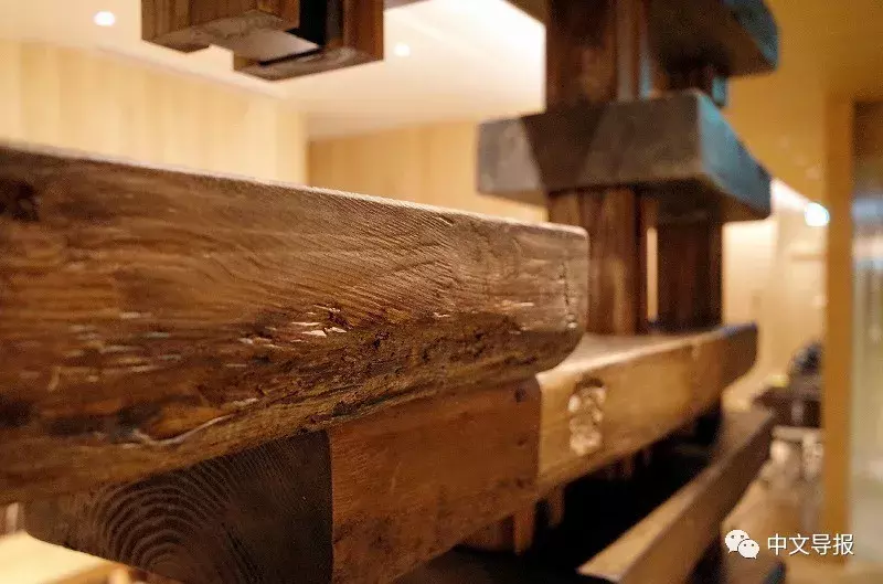 龟甲万酱油结美缘：中日烹饪名厨对话珍馐百味