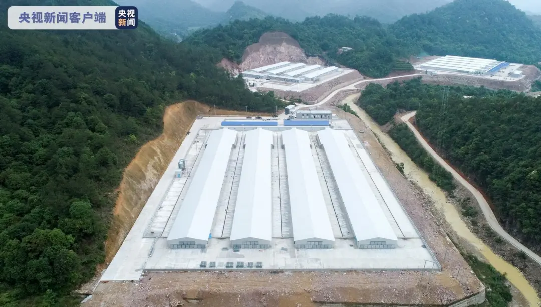 一美元炸鸡，咱中国人也能吃上了？