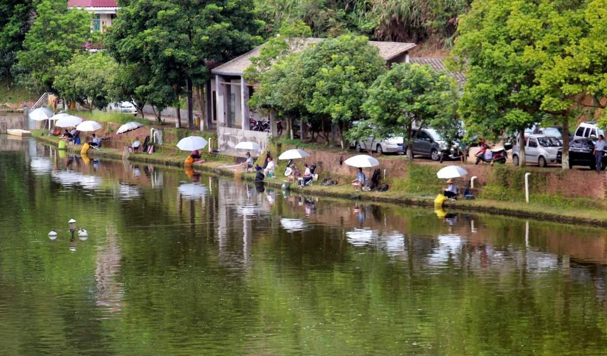 竞争太激烈！农村老板靠免费送鱼杀出一条血路，每年收入超百万