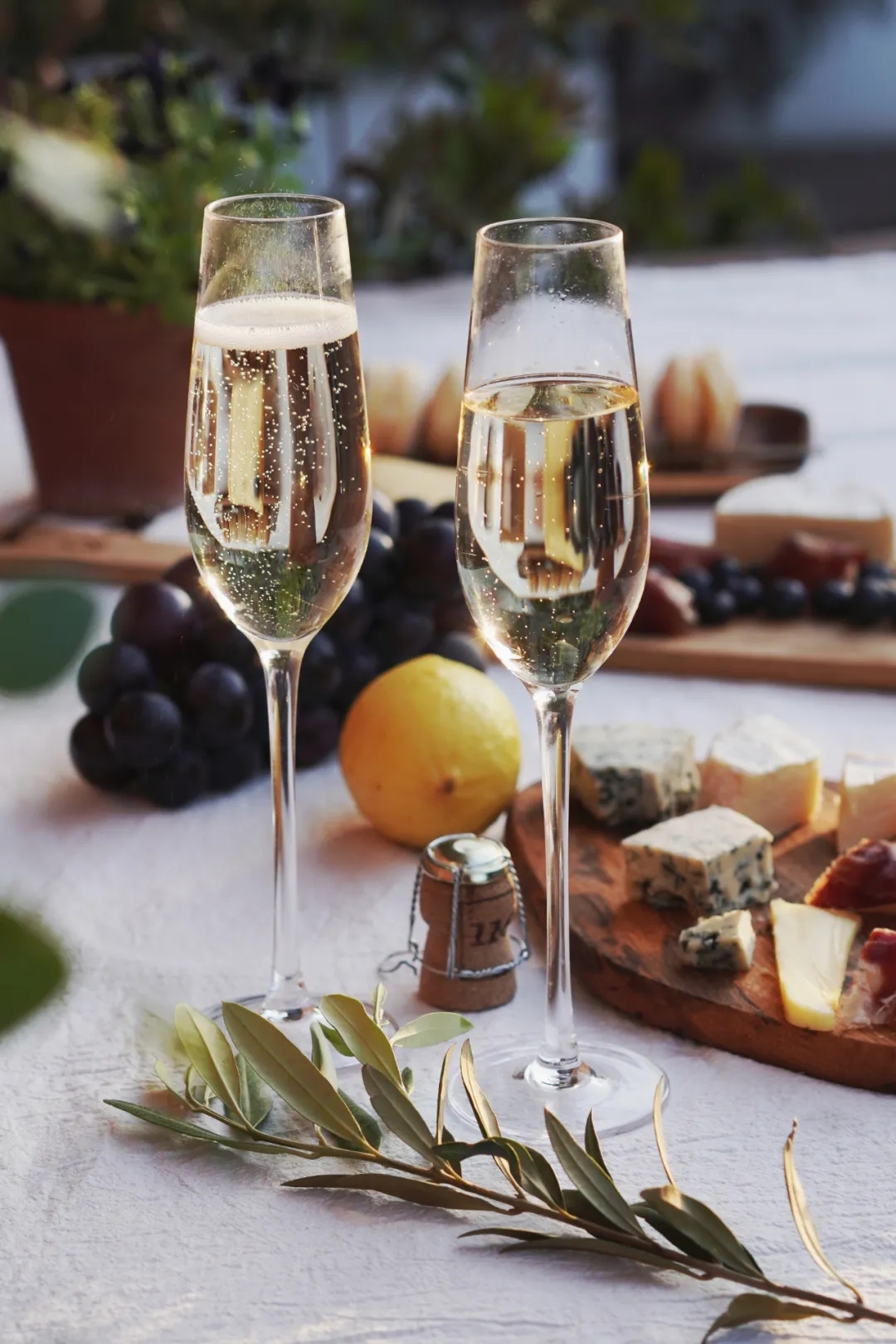 冰镇葡萄酒的夏天-清凉的感觉