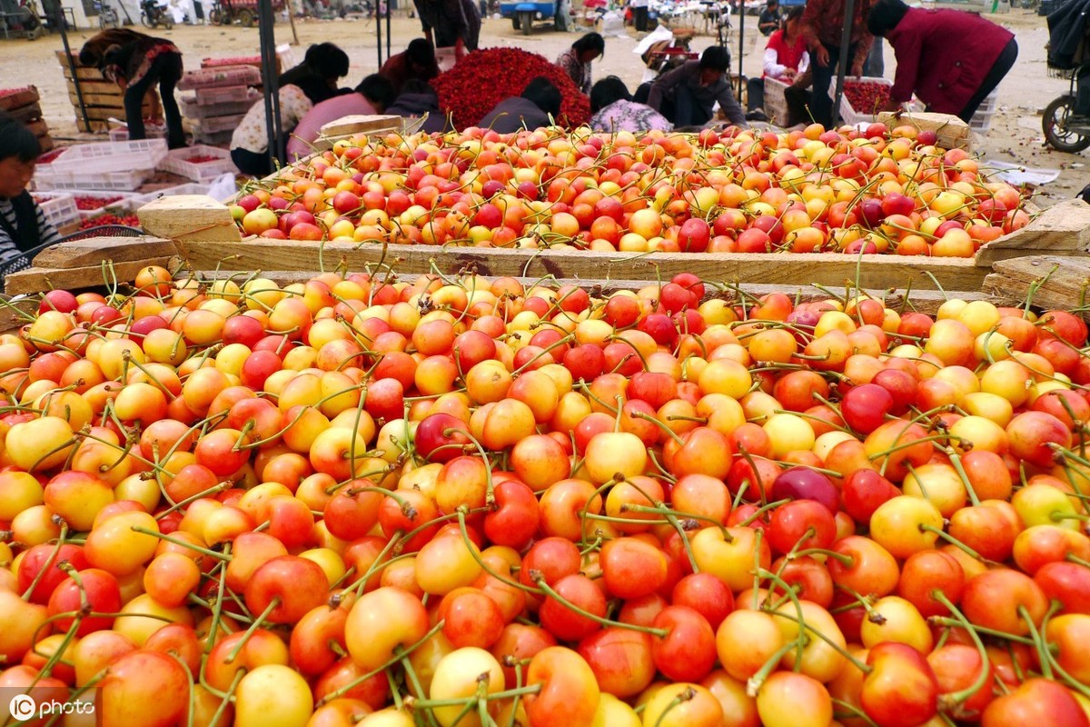 个人注册公司条件有哪些