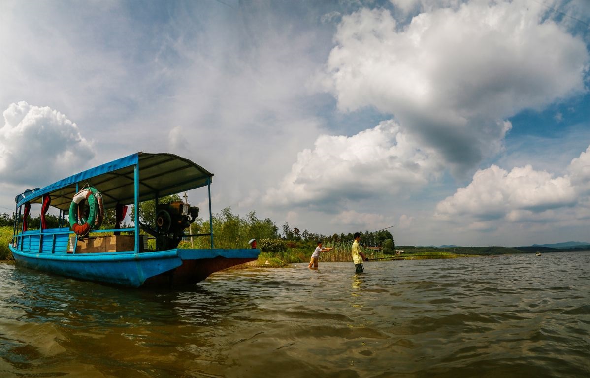 竞争太激烈！农村老板靠免费送鱼杀出一条血路，每年收入超百万