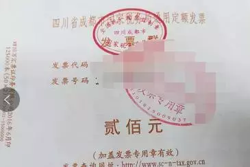 做为一个费用报销会计，你竟然连在哪里查询发票真伪都没弄清！