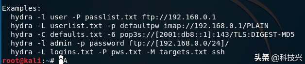 Web渗透测试——密码暴力破解工具的使用