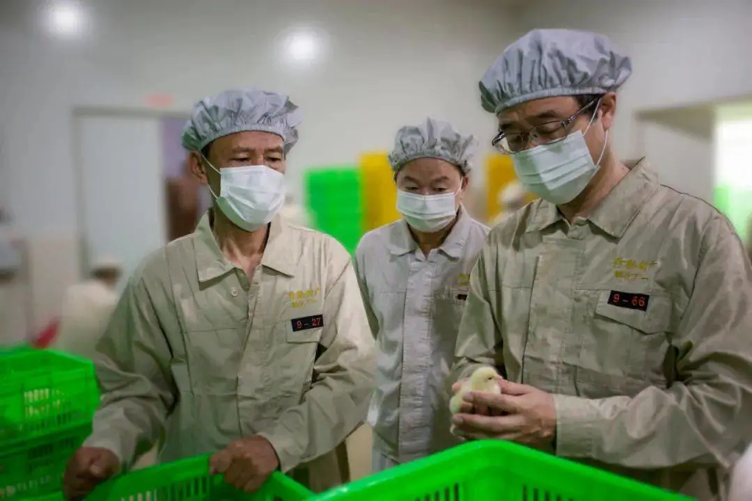 一美元炸鸡，咱中国人也能吃上了？