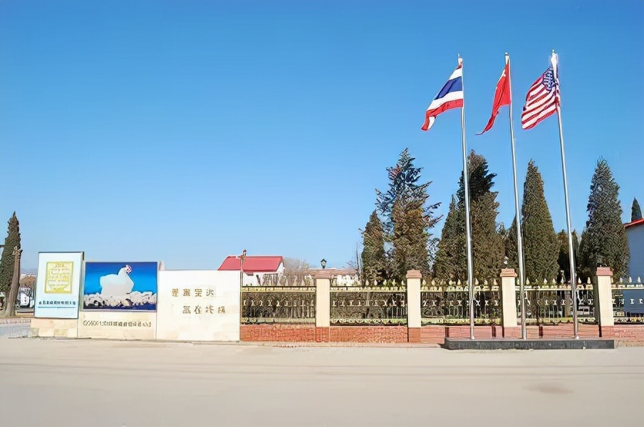 一美元炸鸡，咱中国人也能吃上了？