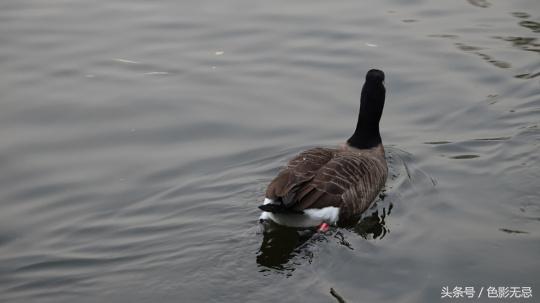 专业化的民用摄影机，索尼FDR-AX700评测