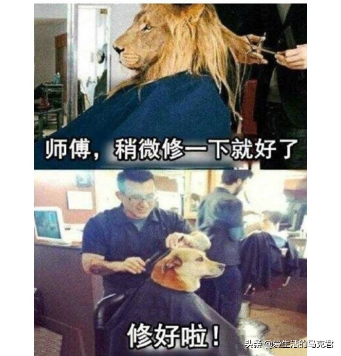 8款热门发泥测评｜新的一年，从头开始