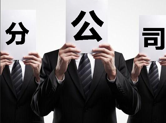 佛山注册分公司的流程和所需资料？