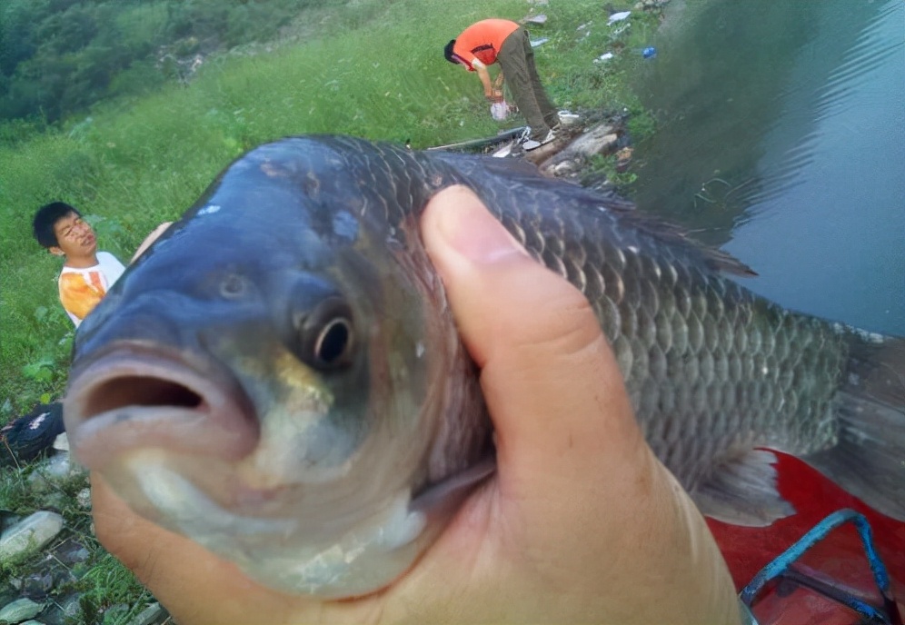 竞争太激烈！农村老板靠免费送鱼杀出一条血路，每年收入超百万