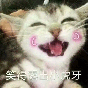 PDF怎么转Word？这几款软件满足你的要求