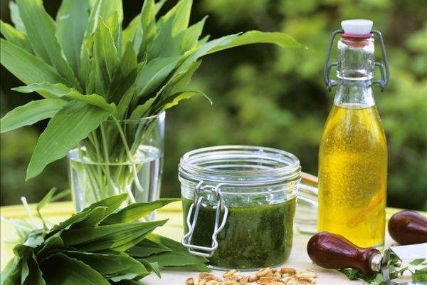 食品招商网的这款进口橄榄油，让她的孩子有了健康营养的三餐