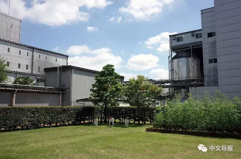 龟甲万酱油结美缘：中日烹饪名厨对话珍馐百味