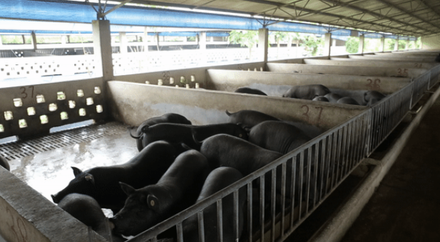 投出公司的总市值顶两个科创板，腾讯在给哪些企业当“后台”？