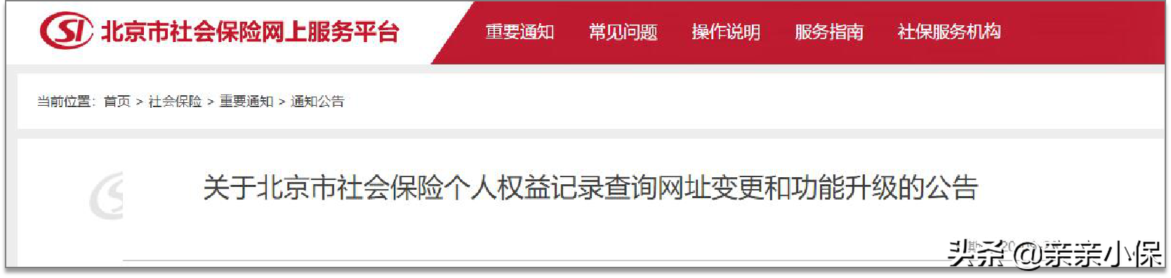 北京社保缴费记录怎么查询