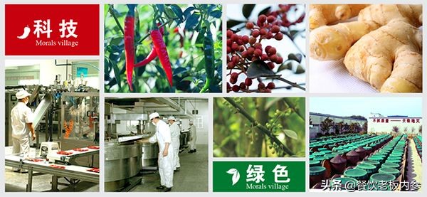 创立20年、门店900+，这家重庆火锅凭什么一直被追捧？