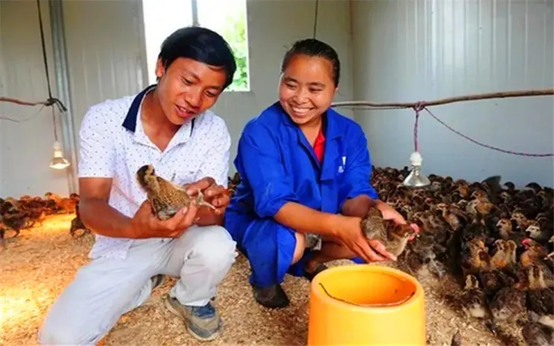 50岁的人了，2022年不外出打工，在农村做什么生意能年收入10万？