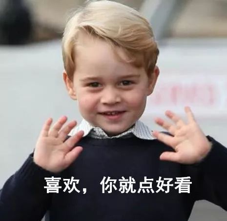 3900元的Gucci猪年限定帽子，就长这样？各品牌设计师们，求放过可爱的猪！