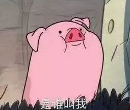 3900元的Gucci猪年限定帽子，就长这样？各品牌设计师们，求放过可爱的猪！