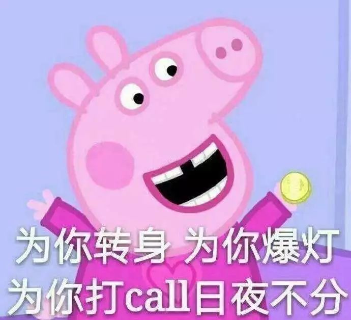 3900元的Gucci猪年限定帽子，就长这样？各品牌设计师们，求放过可爱的猪！