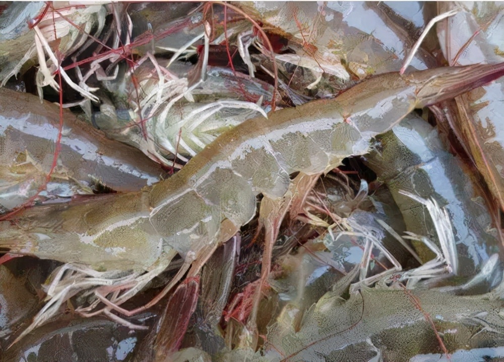 一美元炸鸡，咱中国人也能吃上了？