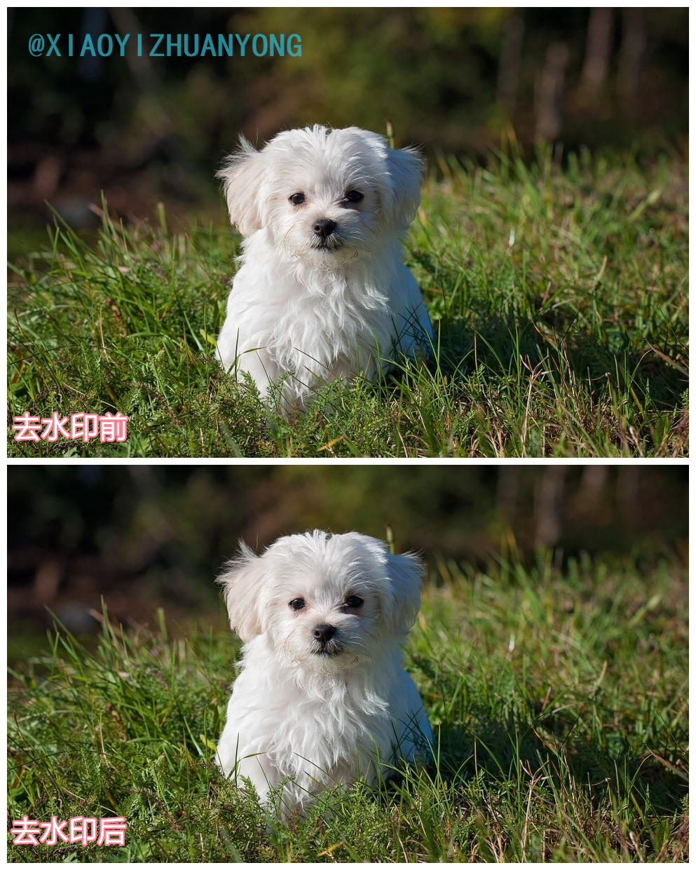 图片怎么去水印？这3种去水印的方法，实在是太好用了