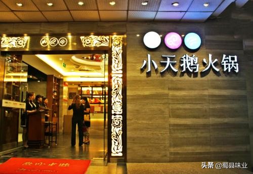 重庆人为什么开不出“海底捞”？这几点原因值得深思