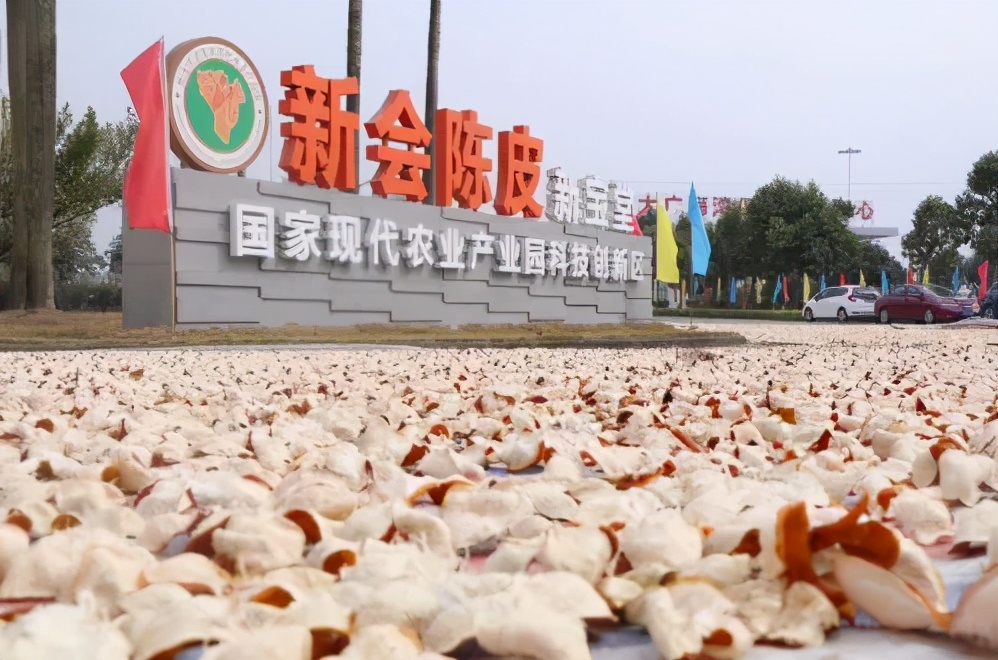 新会陈皮：百年「老字号」踏上新征程