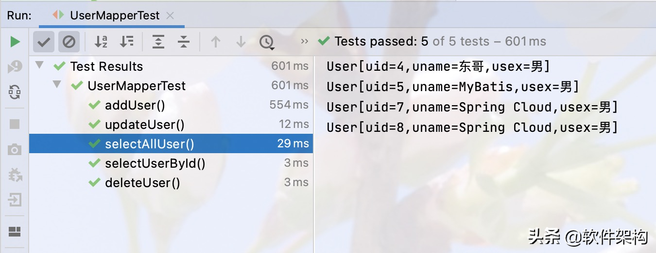 第二个MyBatis应用：Spring Boot整合MyBatis框架