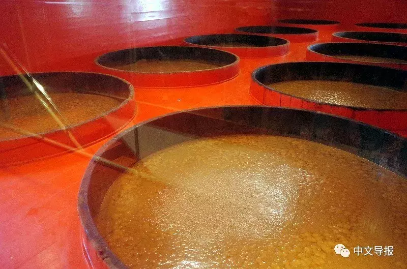 龟甲万酱油结美缘：中日烹饪名厨对话珍馐百味