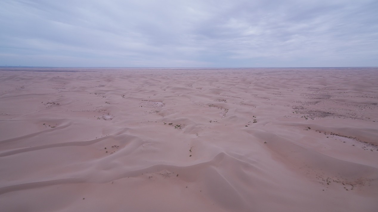 揭秘圣牧有机奶的制胜“钥匙”