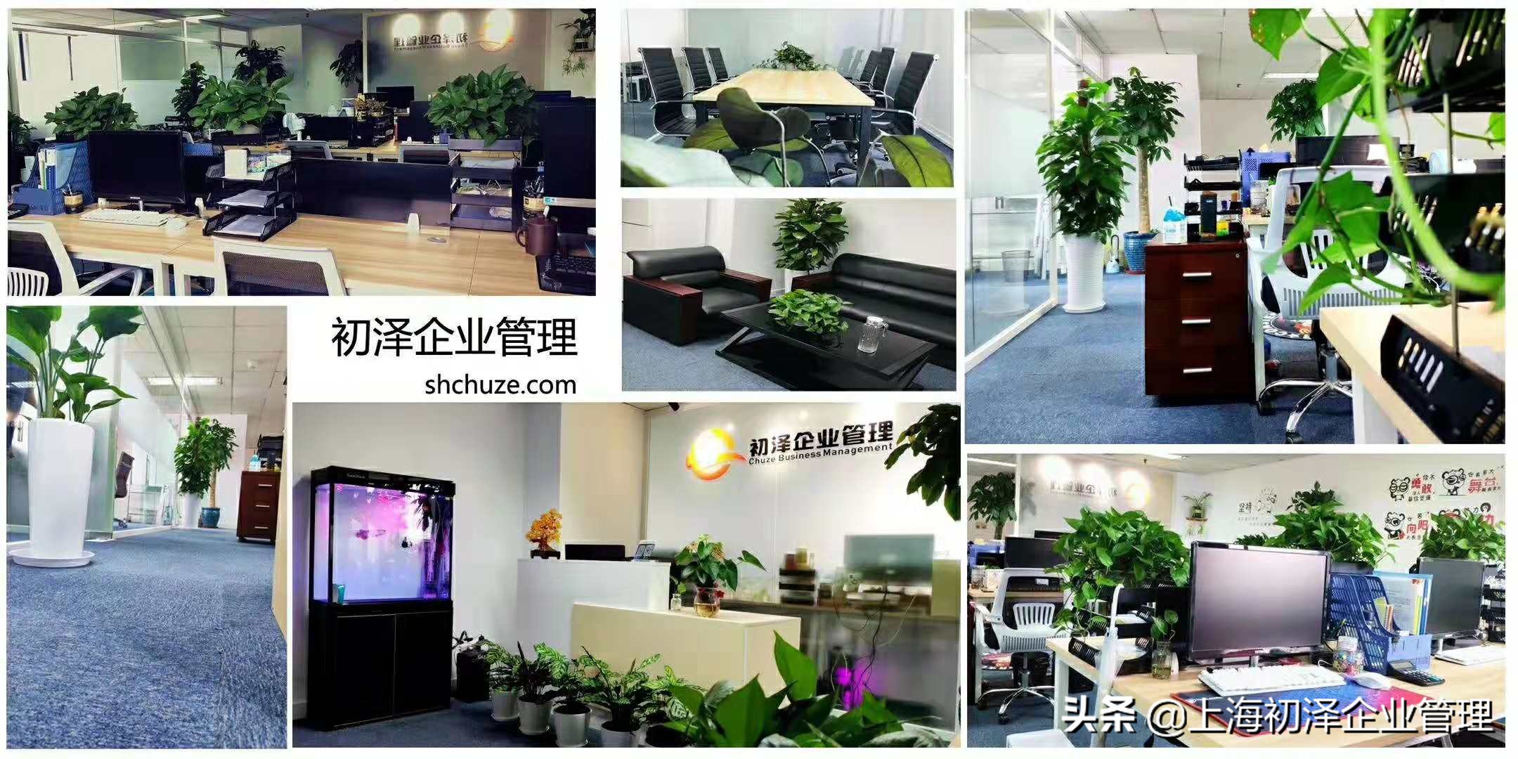 在上海注册公司的基本流程