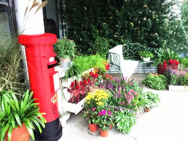 花开蔓藤：号称火锅中的野兽派