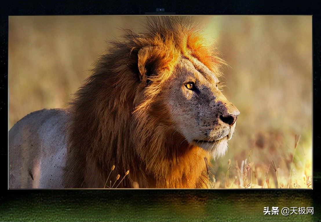 100英寸大屏看冬奥会是怎样的体验？海信全色激光电视L9F揭晓答案