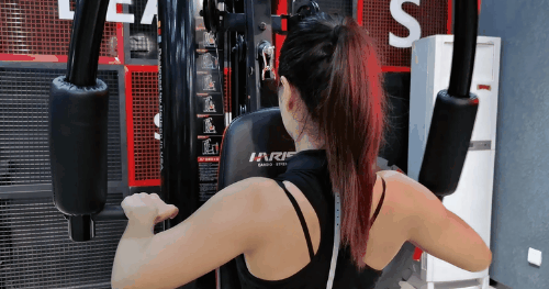 运动器材综合训练器DISCOVER115plus肌肉训练教程