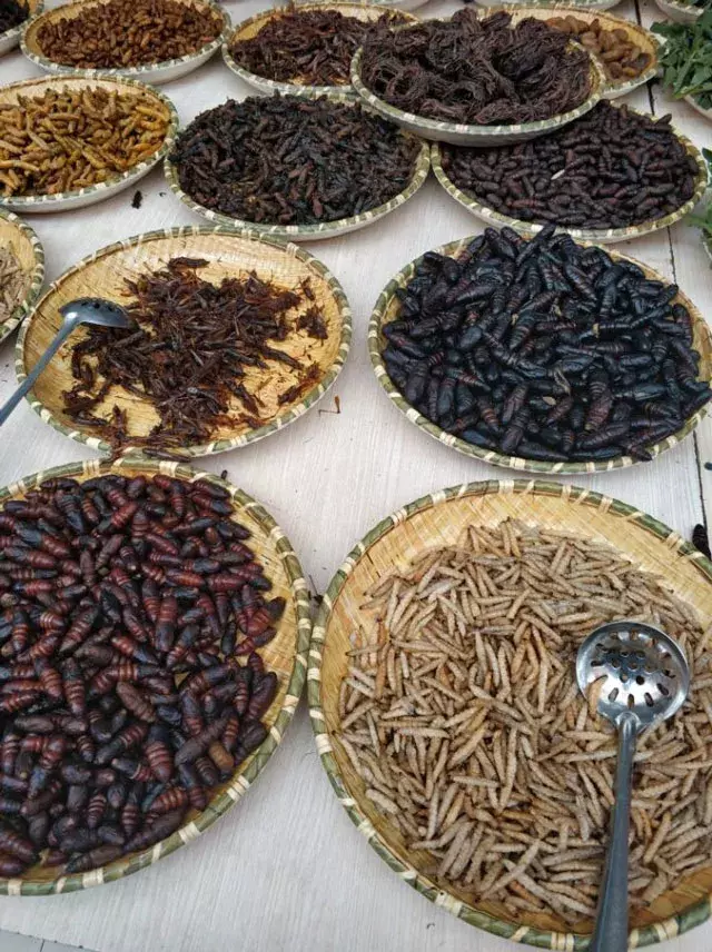 好吃好玩原汁原味 彩云之南的美食：米线 鲜菌饭 烧洋芋