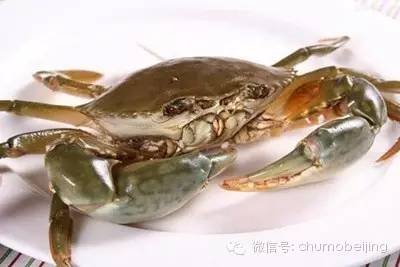 吃螃蟹的讲究及京城好吃的螃蟹推荐