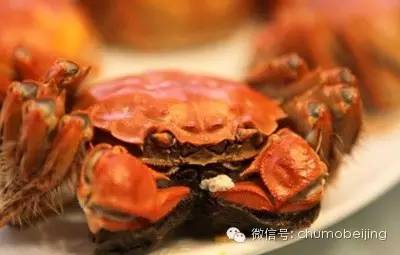 吃螃蟹的讲究及京城好吃的螃蟹推荐