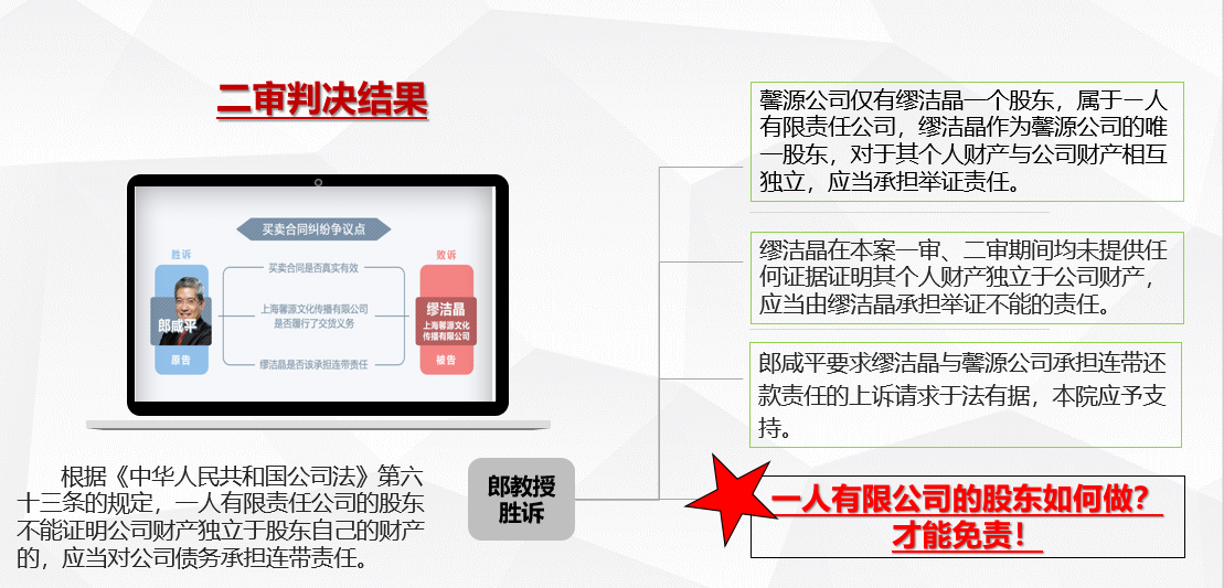 案例讲解：一人有限责任公司如何避免承担连带责任？