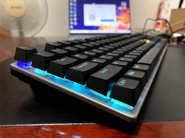 618有哪些适合新手的入门级机械键盘？飞利浦百元键盘上手亲测