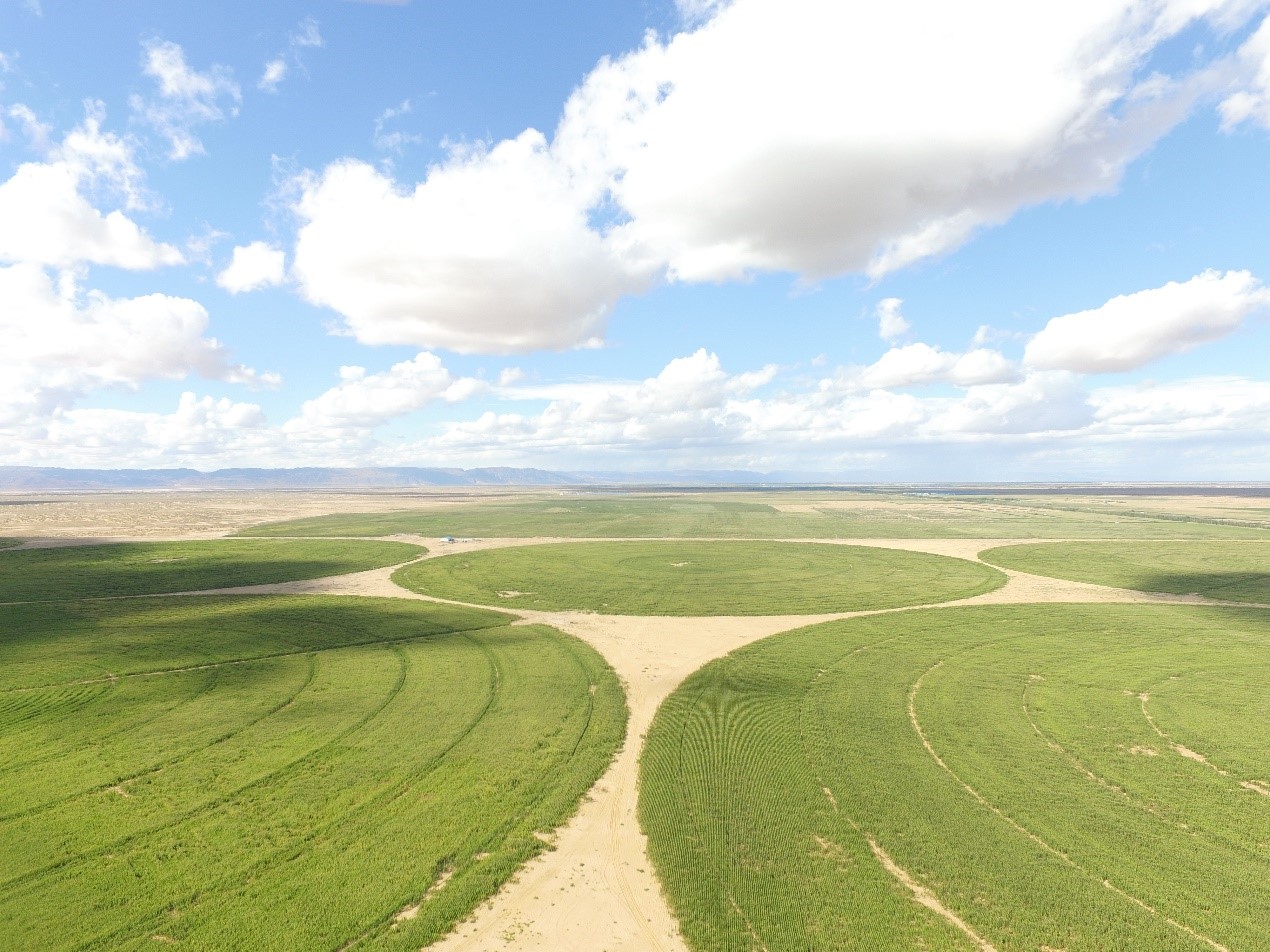 揭秘圣牧有机奶的制胜“钥匙”