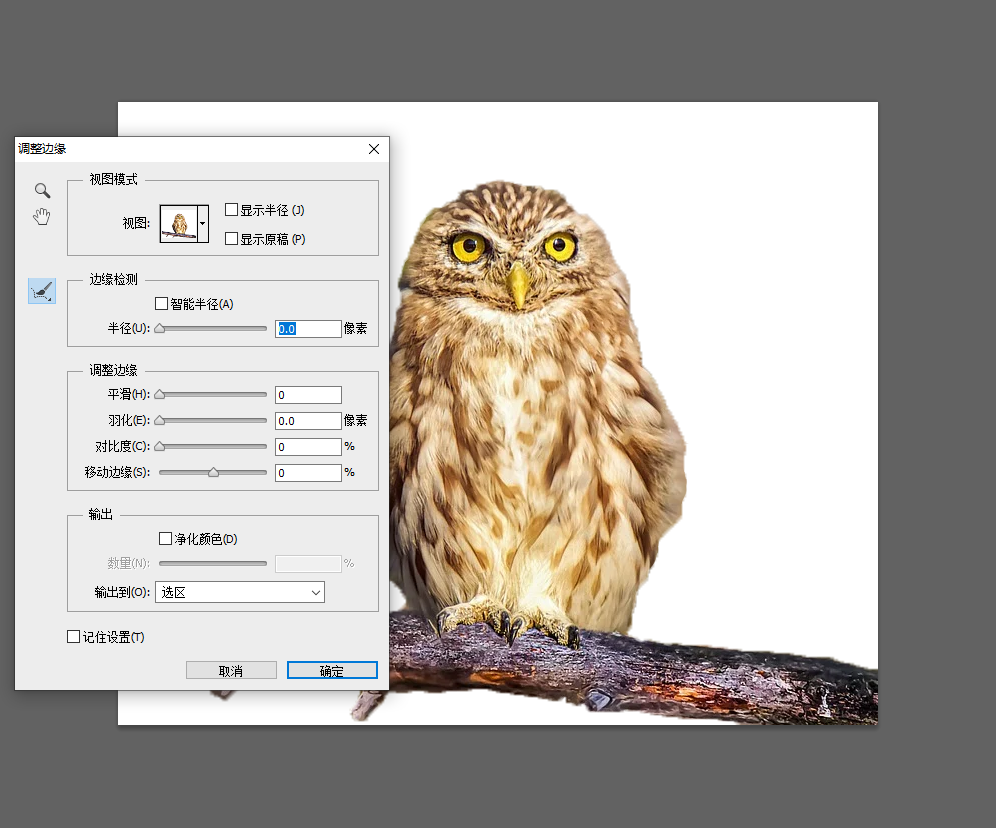 我们测评了10款抠图工具，才帮你找出这5个完全免费的应用