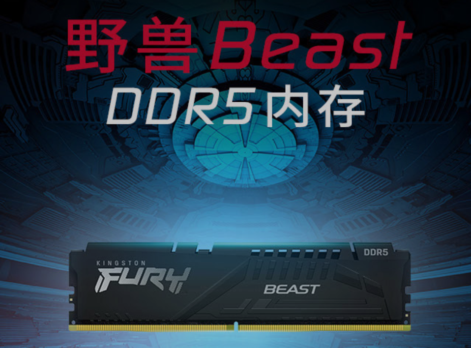 金士顿发布 Fury 野兽 DDR5-6000 内存