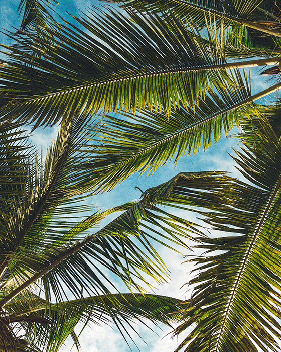 抠图又难又慢？快用这款史上超好用的PS抠图插件试试，60秒一张图