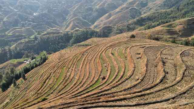 OPPO R9s Plus评测：双核对焦比闪充更亮眼