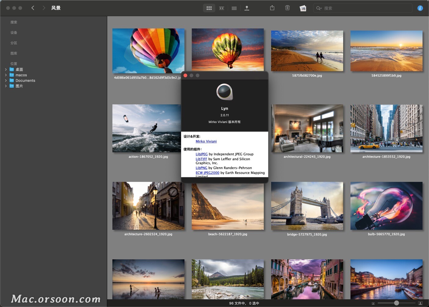超好用的轻量级图像浏览器和查看器：Lyn for mac中文版