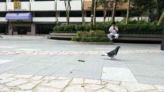 OPPO R9s Plus评测：双核对焦比闪充更亮眼