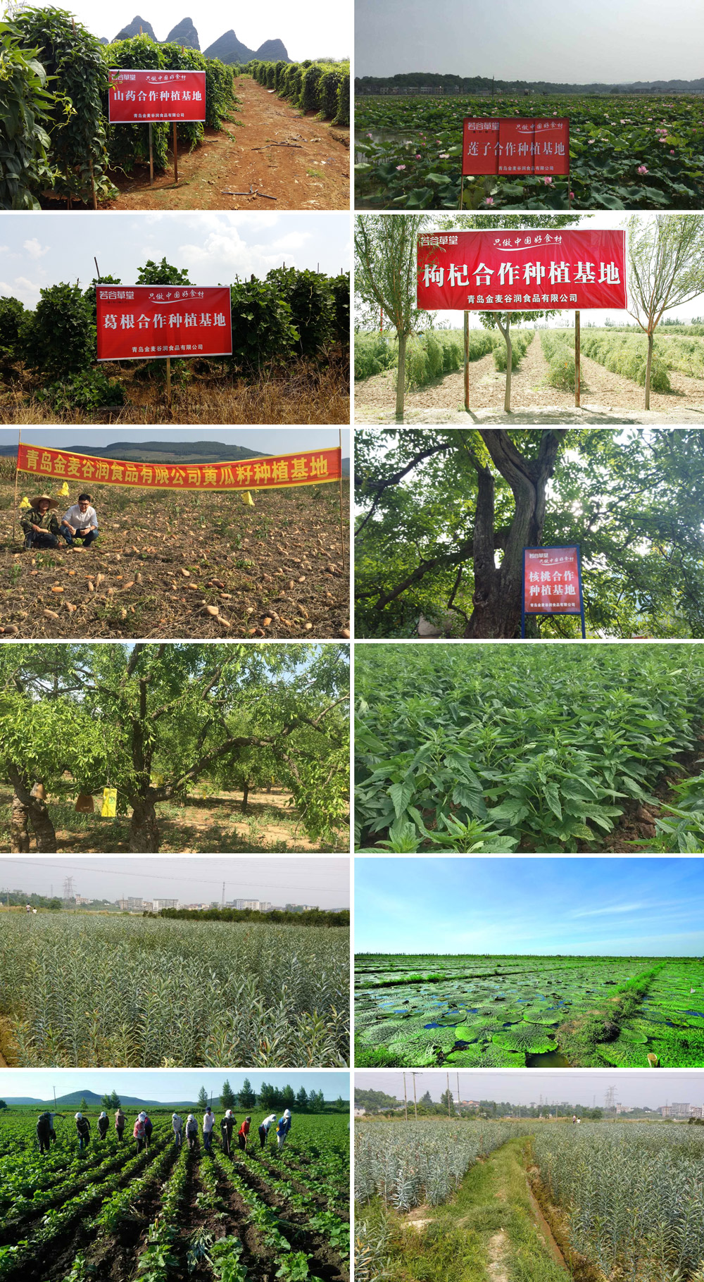 加盟五谷杂粮养生坊要避免踩这几个坑！