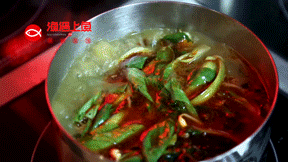 渔遇上鱼：颜值即正义，实力也是王道