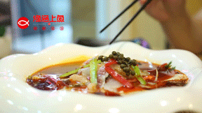 渔遇上鱼：颜值即正义，实力也是王道